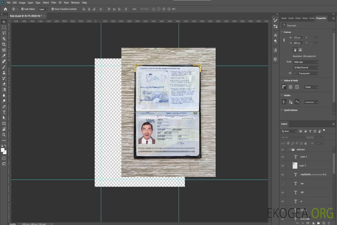 Photo d'identité du passeport estonien template Photo d'identité du passeport estonien template